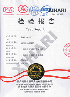 检验报告 ZYMV-100150